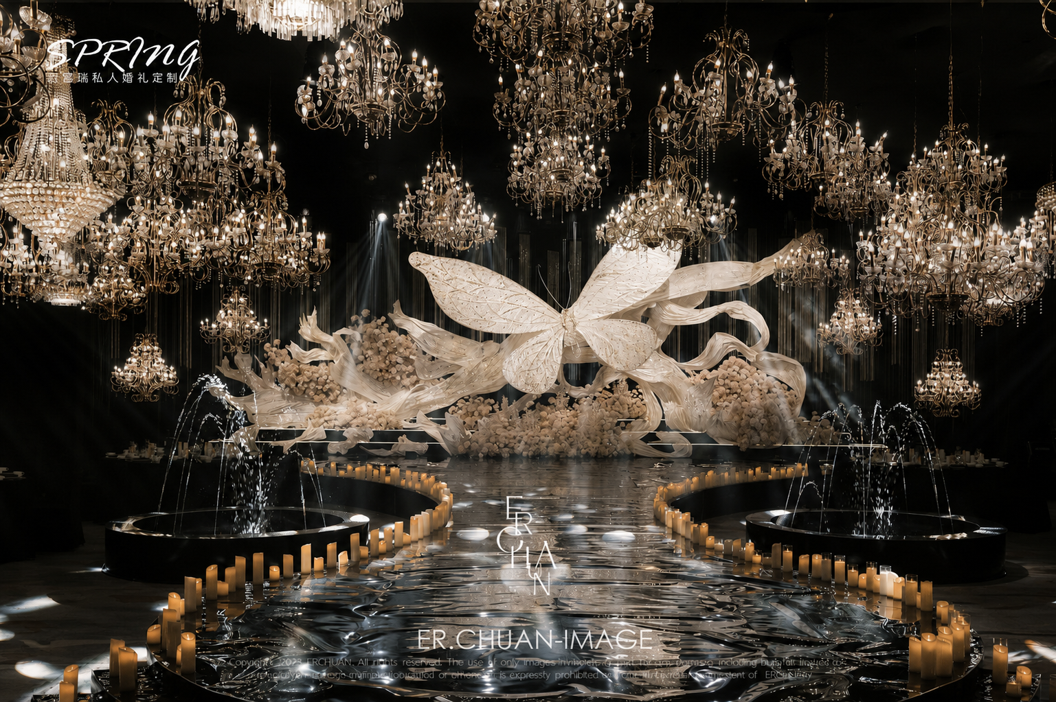 Butterfly Wings gallery 05